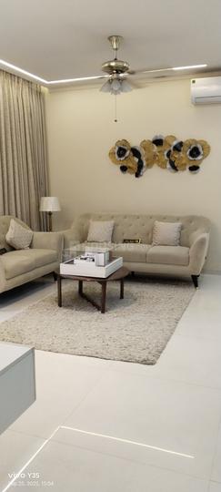 Shyni Gold Main Image 1