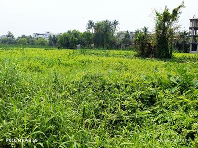 Image of 1440 Sq.ft Residential Plot / Land for sale in Kaikhali, Kolkata for Rs. 6500000
