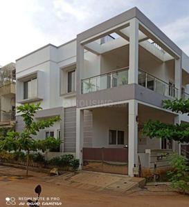 Plot View