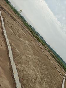 Image of 1000 Sq.ft Residential Plot / Land for sale in Jhalwa, Allahabad for Rs. 1500000
