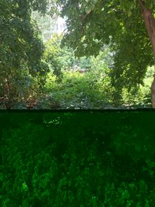 Image of 1355 Sq.ft Residential Plot / Land for sale in Scheme No 140, Indore for Rs. 21138000