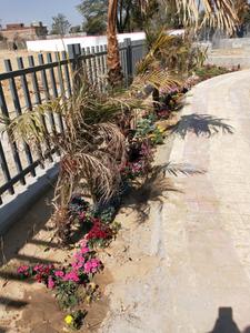Image of 804 Sq.ft Residential Plot / Land for sale in Bhankrota, Jaipur for Rs. 2121000