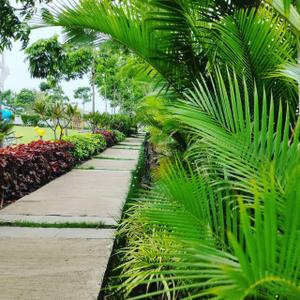 Image of 1530 Sq.ft Residential Plot / Land for sale in Sumeet Landscape, Semariya 2, Raipur for Rs. 3825000