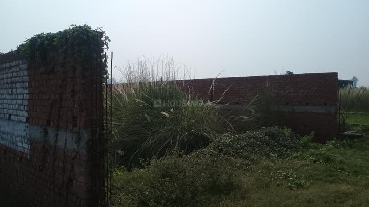 Sarai Gulharia Main Image 1