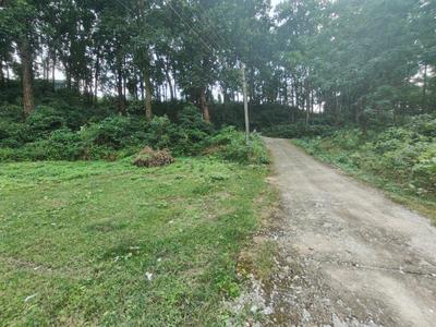 Image of 6165 Sq.ft Residential Plot / Land for sale in Garhi Cantt, Dehradun for Rs. 26000000