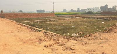Image of 1211 Sq.ft Residential Plot / Land for sale in Darekhu, Varanasi for Rs. 4238500