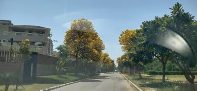Image of 2700 Sq.ft Residential Plot / Land for sale in Sector 105, Mohali for Rs. 45000000
