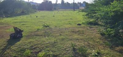 Image of 17000 Sq.ft Residential Plot / Land for sale in Thiruporur, Chennai for Rs. 62000000