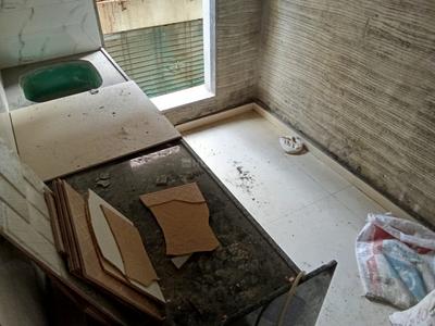 Kitchen Image of 680 Sq.ft 1 BHK Apartment / Flat for sale in Ulwe Navi Mumbai for Rs. 5200000