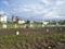 Wagholi Plot View 2