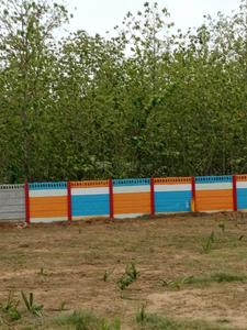Image of 200 Sq.ft Residential Plot / Land for sale in Bhogapuram, Visakhapatnam for Rs. 3200000