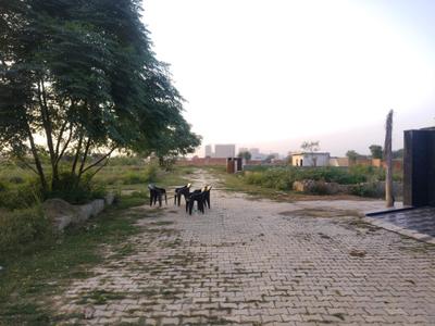 Image of 150 Sq.ft Residential Plot / Land for sale in Noida Extension, Greater Noida for Rs. 5250900
