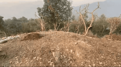 Image of 13500 Sq.ft Residential Plot / Land for sale in Morni Hills, Morni, Panchkula for Rs. 7000000