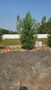 Image of 1100 Sq.ft Residential Plot / Land for sale in Gosainganj, Lucknow for Rs. 1925000