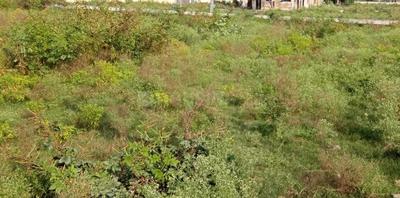 Image of 1000 Sq.ft Residential Plot / Land for sale in Sector 27, Greater Noida for Rs. 65000000