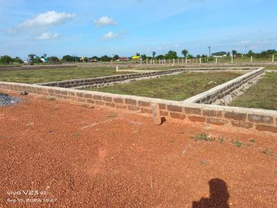 Image of 1000 Sq.ft Residential Plot / Land for sale in Naya Raipur, Raipur for Rs. 399999