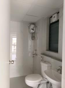 Common Bathroom Image of 770 Sq.ft 2 BHK Apartment / Flat for rent in Runwal Gardens Phase 3 Bldg No 29 30, Dombivli East Thane for Rs. 15999