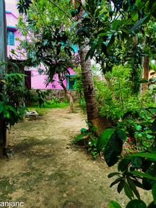 Image of 2500 Sq.ft 4 BHK Independent House for sale in Kalyani, Nadia for Rs. 6000000