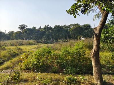 Image of 351 Sq.ft Residential Plot / Land for sale in New Moradabad, Moradabad for Rs. 22000000