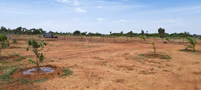 Image of 11104 Sq.ft Residential Plot / Land for sale in Sooriyur, Tiruchirappalli for Rs. 1765377