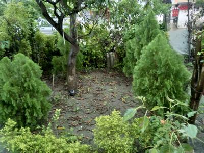 Image of 4500 Sq.ft 2 BHK Independent House for sale in Butibori, Nagpur for Rs. 6200000
