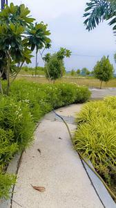 Image of 800 Sq.ft Residential Plot / Land for sale in Ramesht Ayodhya Puram, Sanwer, Indore for Rs. 2680000
