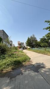 Plot View