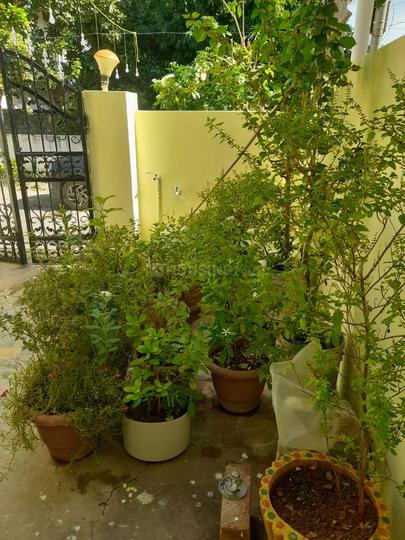 Vidyanagar Main Image 1