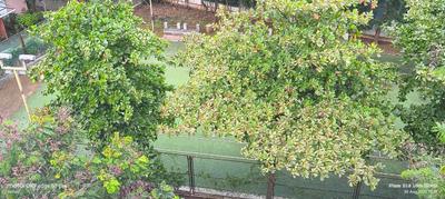 Image of 1319 Sq.ft 2.5 BHK Apartment / Flat for sale in Peninsula Ashok Astoria Villas, Gangapur, Nashik for Rs. 9000000