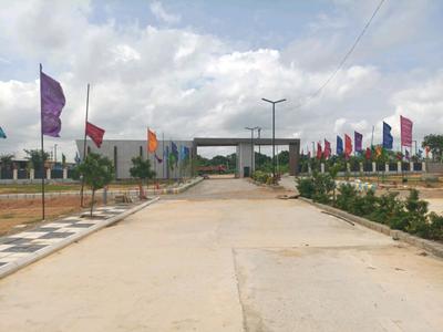 Century Nature City Internal Roads 1