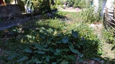 Image of 1440 Sq.ft Residential Plot / Land for sale in Purba Barisha, Kolkata for Rs. 3500000