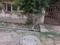 A Block Plot View 2