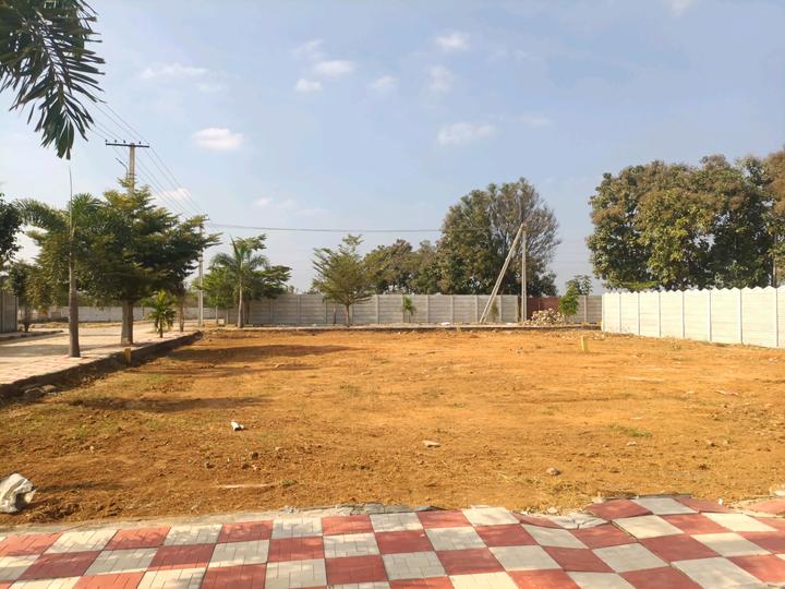 Golden City Main Image 1