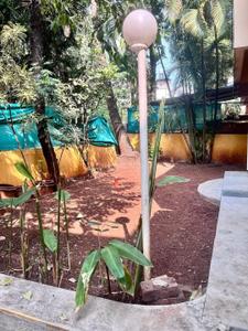 Image of 1550 Sq.ft 3 BHK Villa for sale in Kothrud, Pune for Rs. 38000000