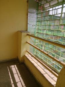 Living Room Image of 978 Sq.ft 2 BHK Apartment / Flat for sale in East Kolkata Township Kolkata for Rs. 5900000