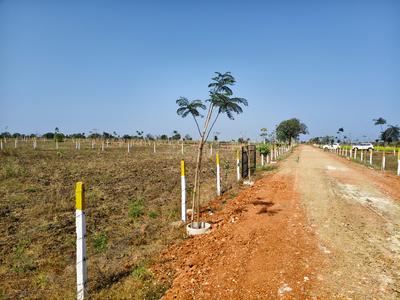 Image of 5000 Sq.ft Residential Plot / Land for sale in Jotpur, Jabalpur for Rs. 1100000
