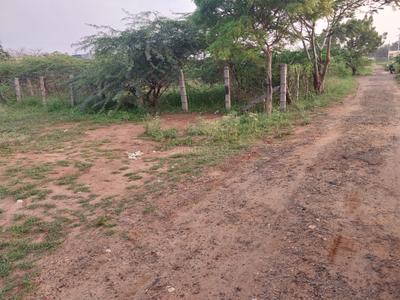 Sulur More Images 2