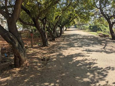 Image of 1770 Sq.ft Residential Plot / Land for sale in Nagasandra, Bengaluru North, Bengaluru for Rs. 19470000