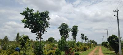 Image of 6000 Sq.ft Residential Plot / Land for sale in Gollahalli, Bengaluru for Rs. 4800000