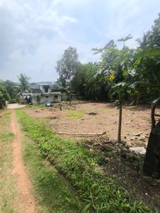 Image of 2100 Sq.ft 4 BHK Independent House for sale in Kaniyapuram, Thiruvananthapuram for Rs. 8000000