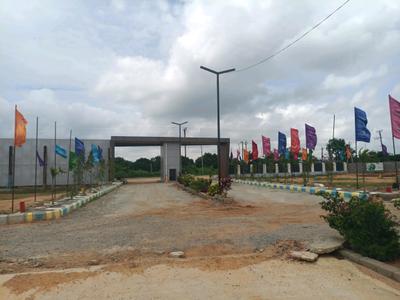 Century Nature City Internal Roads 1