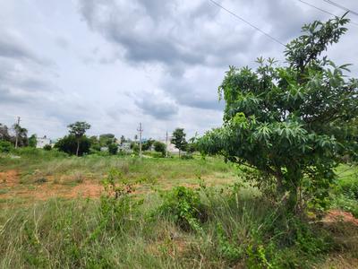 Image of 1200 Sq.ft Residential Plot / Land for sale in Kaggalipura, Bengaluru for Rs. 5800000