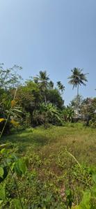 Image of 3050 Sq.ft Residential Plot / Land for sale in Nadakkave, Kozhikode for Rs. 10500000