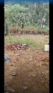 Image of 2831 Sq.ft Residential Plot / Land for sale in Thiruvaniyoor, Kochi for Rs. 1690000