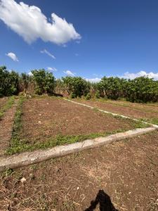 Image of 900 Sq.ft Residential Plot / Land for sale in Doiwala, Dehradun for Rs. 1500000