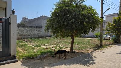 Image of 2250 Sq.ft Residential Plot / Land for sale in Sector 110, Gurgaon for Rs. 26250000