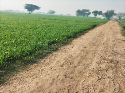 Image of 24282 Sq.ft Residential Plot / Land for sale in Nagalia, Palwal for Rs. 378000000