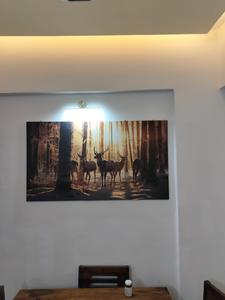 Hall Image of 950 Sq.ft 2 BHK Apartment / Flat for rent in Lalit Roongta Florenza, Govind Nagar Nashik for Rs. 25000