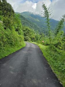 Image of 21800 Sq.ft Residential Plot / Land for sale in Kalimpong Khasmahal, Kalimpong for Rs. 4000000