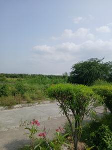 Image of 120 Sq.ft Residential Plot / Land for sale in Sector 29 Rohini, New Delhi for Rs. 49000000